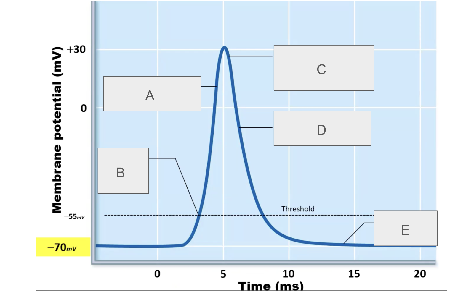 <p>what is happening at E?</p>
