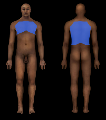 Thoracic Region
