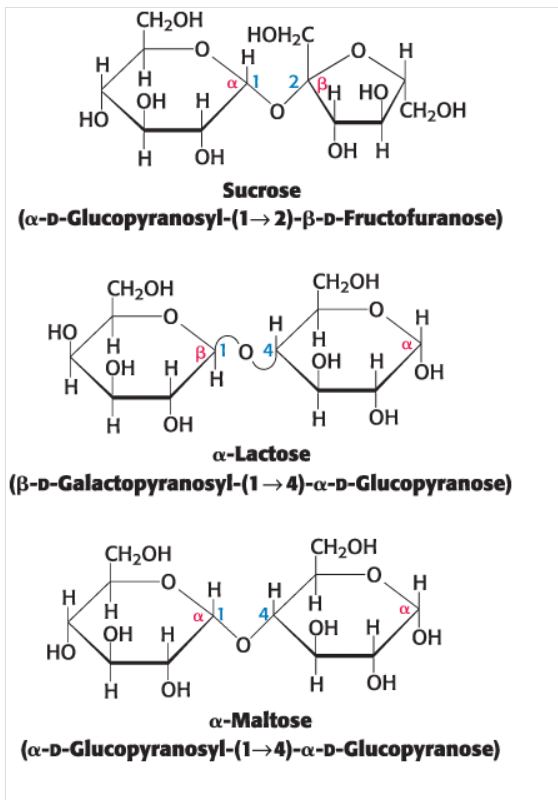 <p>are carbohydrates formed from two monosaccharides linked by a O-glycosidic bond. </p>
