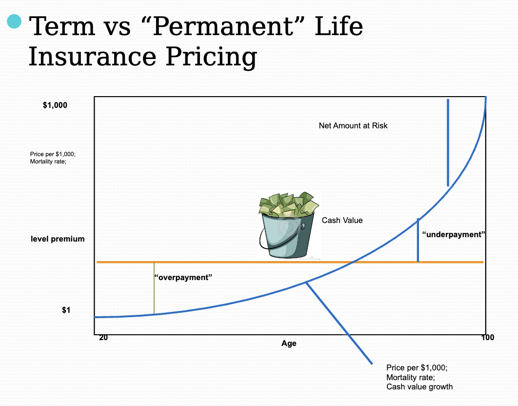 <p>Term vs “Permanent” Life Insurance Pricing</p>