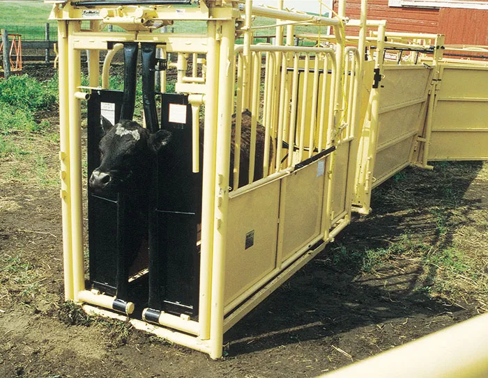 <p>Sorting chutes:</p>