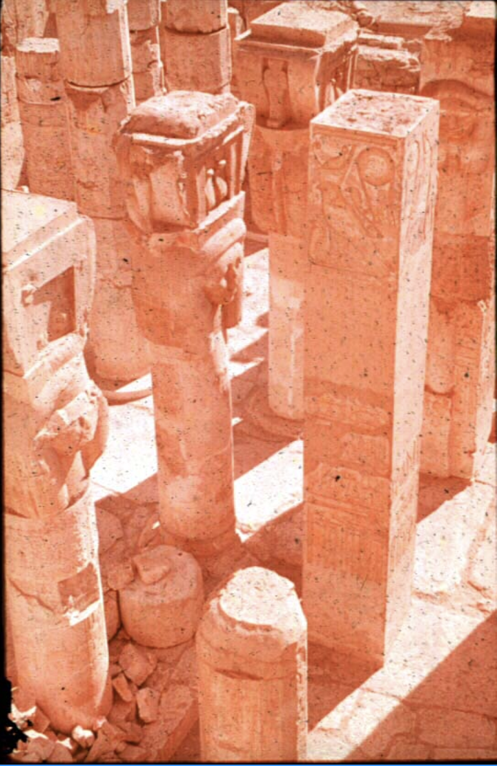 term image