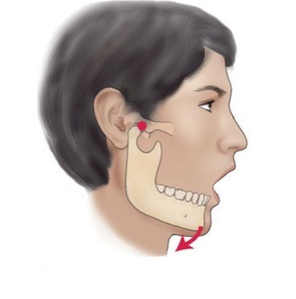<p>lowering a body part</p>