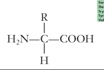 <p>wghat kind of structure is this? </p>