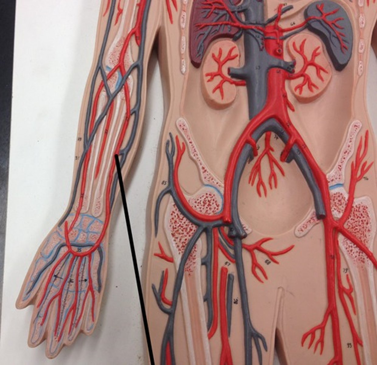 <p>What structure?</p>