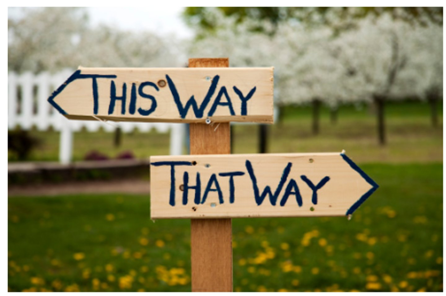 <p>used to introduce alternatives or express doubt, often found in indirect questions, “if”:<br>“I wasn't sure whether (or not) you'd like it.”<br><br>It can also indicate a condition or choice between options, often paired with the word "or.":<br><strong>“</strong>I'm going, whether she likes it or not.”<br><br></p>