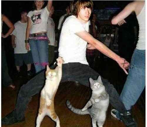 <p>They love ___ (dance) at parties.</p>