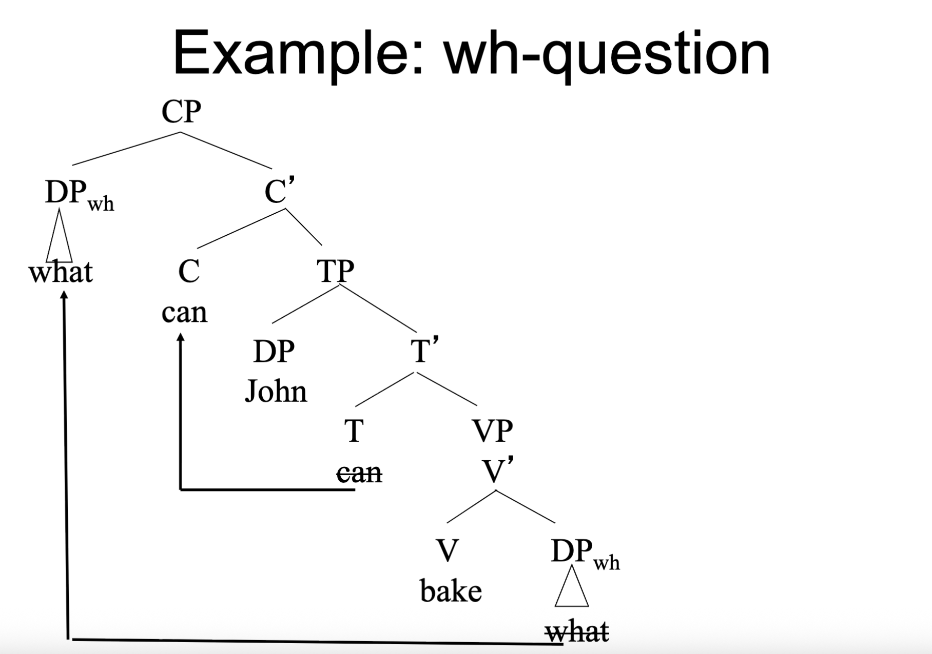 <p><span style="color: rgb(255, 255, 255);"><span>start with a wh-phrase<br>– Questions that start with who, what, where, when, which, etc.<br>– Answer will be a content word or phrase</span></span></p><ul><li><p>involve TWO types of movement: wh movement (wh→ specifier of CP) and auxiliary movement (T→ C)</p></li></ul><p></p>
