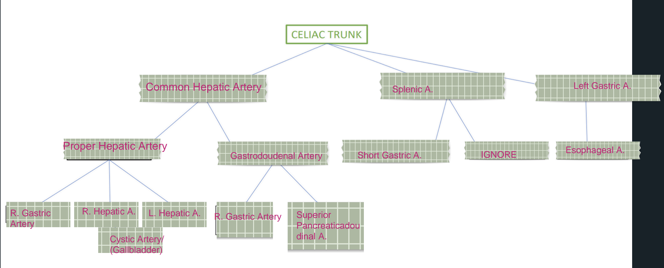 knowt flashcard image