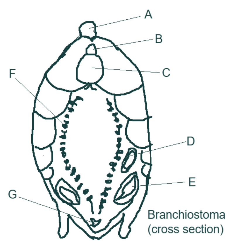 <p>Label the diagram.</p>