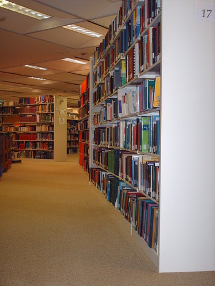<p>The library</p>