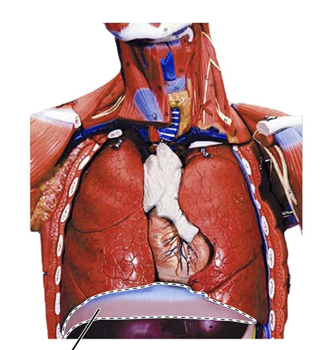 <p>What is this?</p>