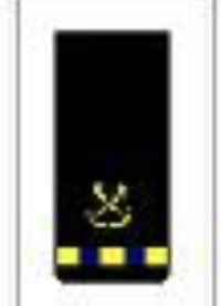 <p>One gold 1/2-inch stripe with two blue breaks below a specialty insignia</p>