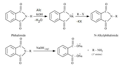 <p>Mechanism:</p><p><strong>1. Deprotonation of Phthalimide: </strong></p><p>Potassium hydroxide (KOH) deprotonates the phthalimide, creating a nucleophilic imide ion. The imide ion is stabilized by resonance due to the presence of two carbonyl groups.</p><p><strong>2. Alkylation: </strong></p><p>The nucleophilic imide ion attacks the electrophilic carbon of the alkyl halide, displacing the halogen (X) and forming an N-alkyl phthalimide.</p><p><strong>3. Hydrolysis: </strong></p><p>The N-alkyl phthalimide undergoes base-catalyzed hydrolysis, where the hydroxide ion attacks the carbon-nitrogen bond. This leads to the cleavage of the N-alkyl phthalimide and the formation of the primary amine and a phthalate ion.</p>