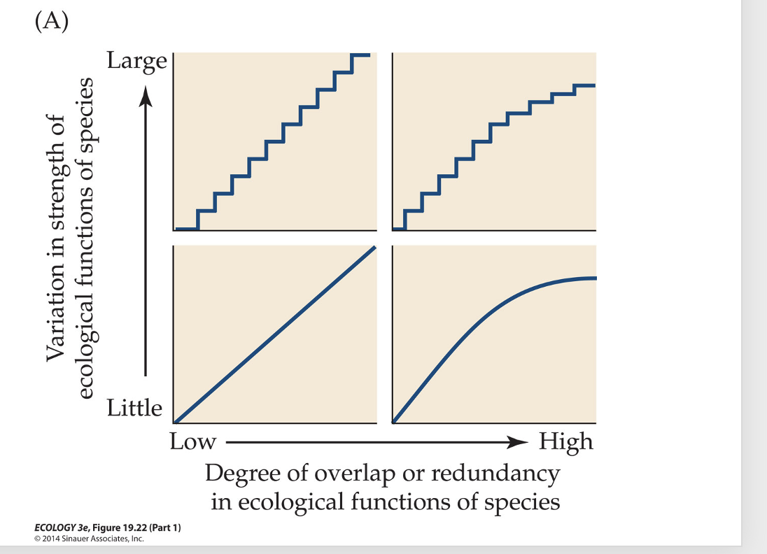 <p>What do the four models in Figure 19.22 imply for conservation strategies?</p>