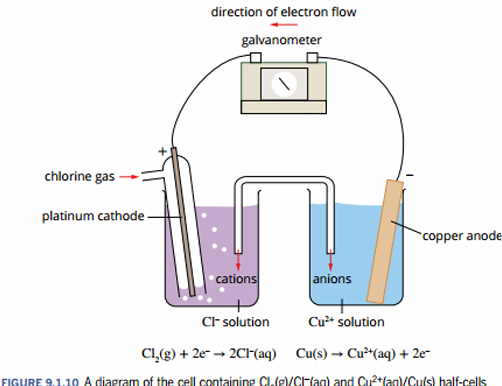 knowt flashcard image