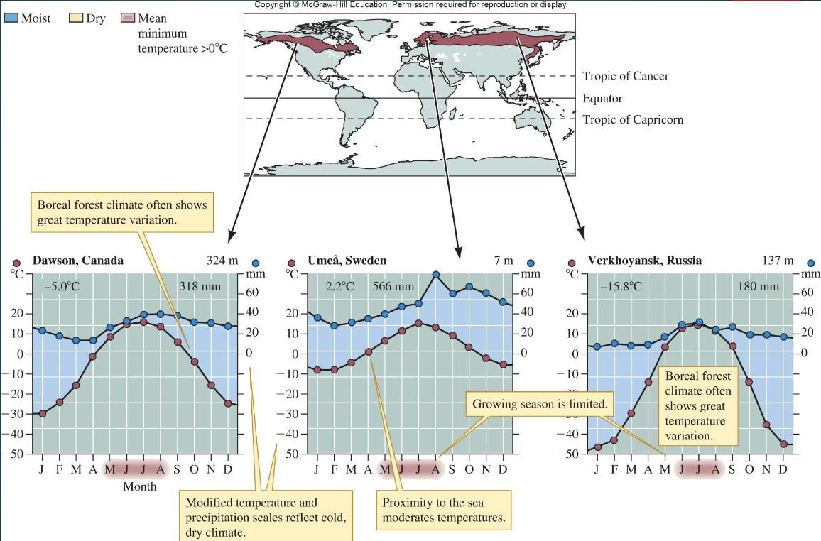 <ul><li><p>Northern Hemisphere</p><ul><li><p>~11% of land</p></li></ul></li><li><p>thin acidic soils</p></li><li><p>evergreen conifers</p></li><li><p>relatively high animal density</p></li><li><p>historically low human intrusion</p></li><li><p>short growing season</p></li><li><p>great temperature variation</p></li></ul><p></p>