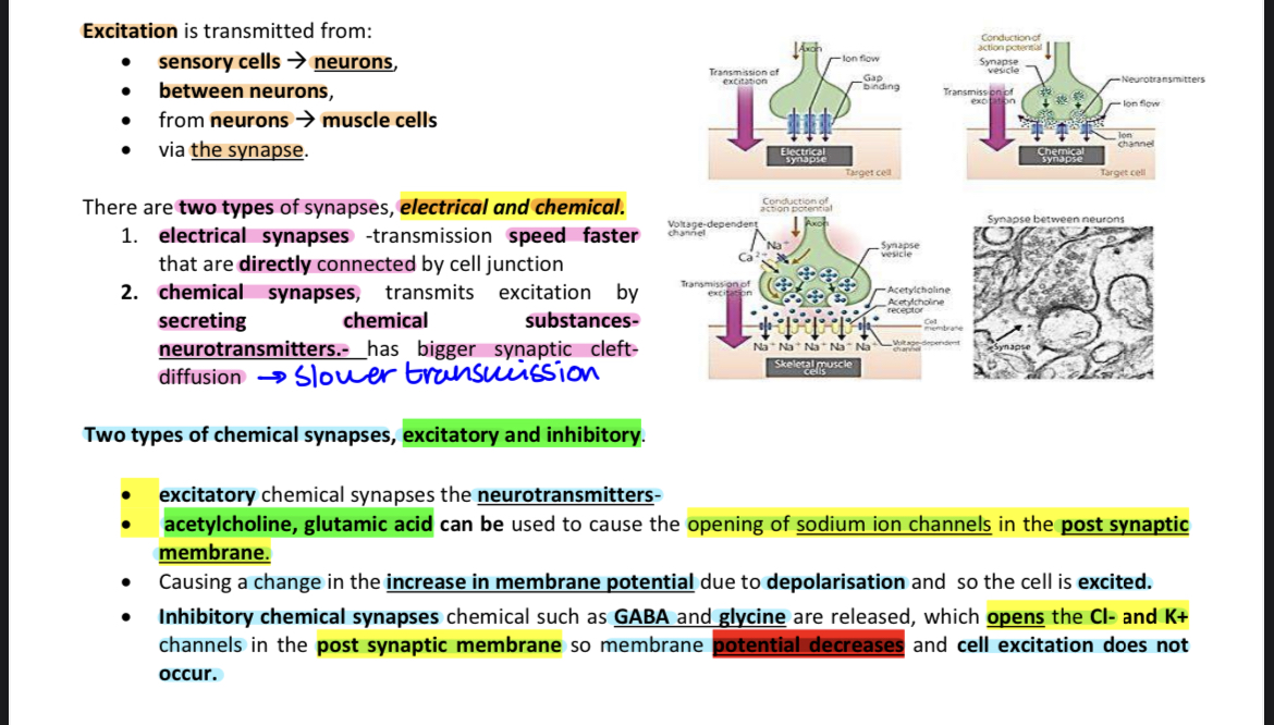knowt flashcard image