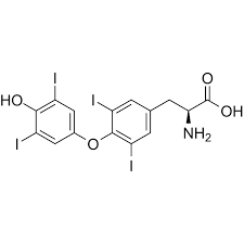 <p>What Transporters does this drug taken up? </p>