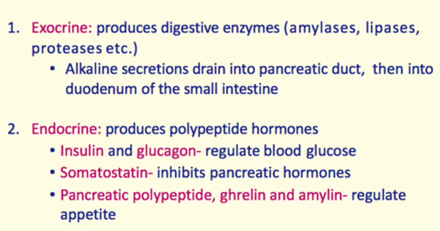 <p>1) Insulin &amp; Glucagon = regulate blood glucose</p><p>2) Somatostatin = inhibits pancreatic hormones</p><p>3) Ghrelin and amylin = regulate appetite</p>