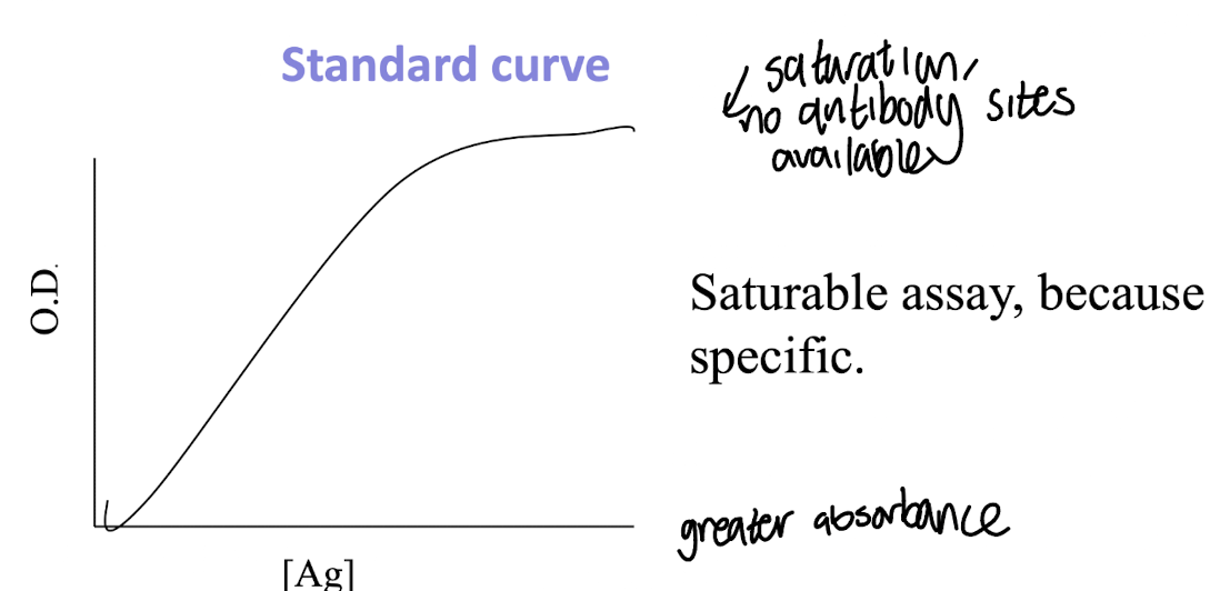 <p>The standard curve demonstrates that, a<span style="color: green;"><strong>t high concentrations of the antigen</strong></span>,<strong> increasing the amount of antigen does not significantly change the signal,</strong> indicating that the assay reaches saturation. </p>