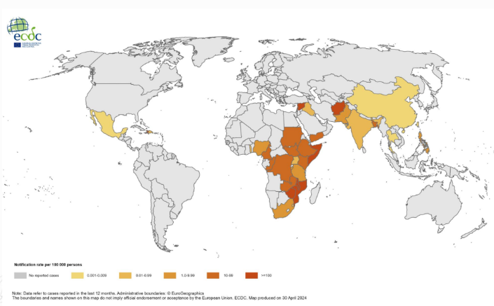 <ul><li><p>around 3.5 million infections per year with cholera</p></li><li><p>30,808 new cholera cases (as of 3/31/24)</p></li><li><p>around 100 thousand deaths (as of 3/31/24)</p></li><li><p>occurs worldwide</p></li></ul><p></p>
