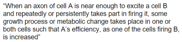 <p>cells that fire together, wire together</p>