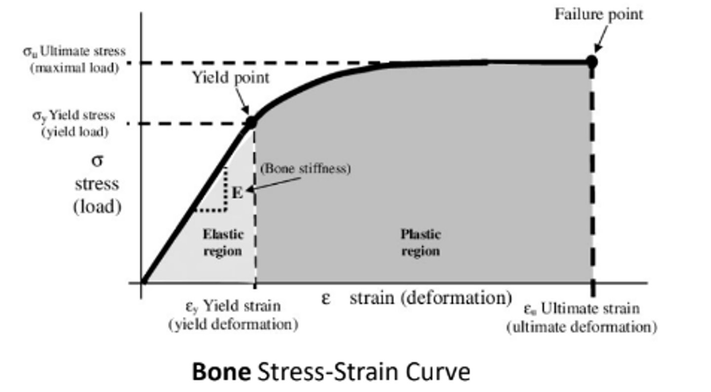 <p>Internal resistance to change.</p>