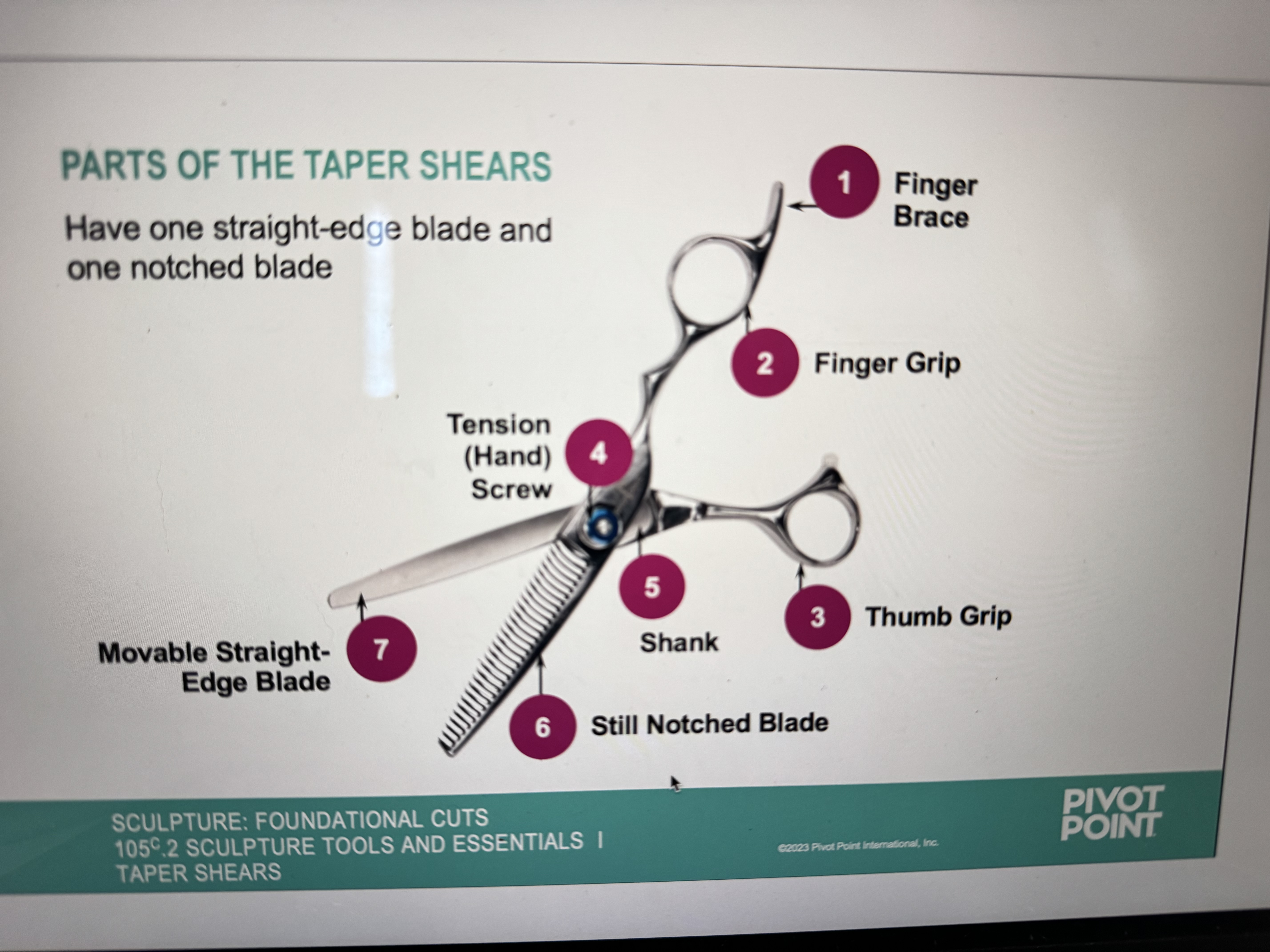 <p>have one straight - edge blade and one notched blade </p>