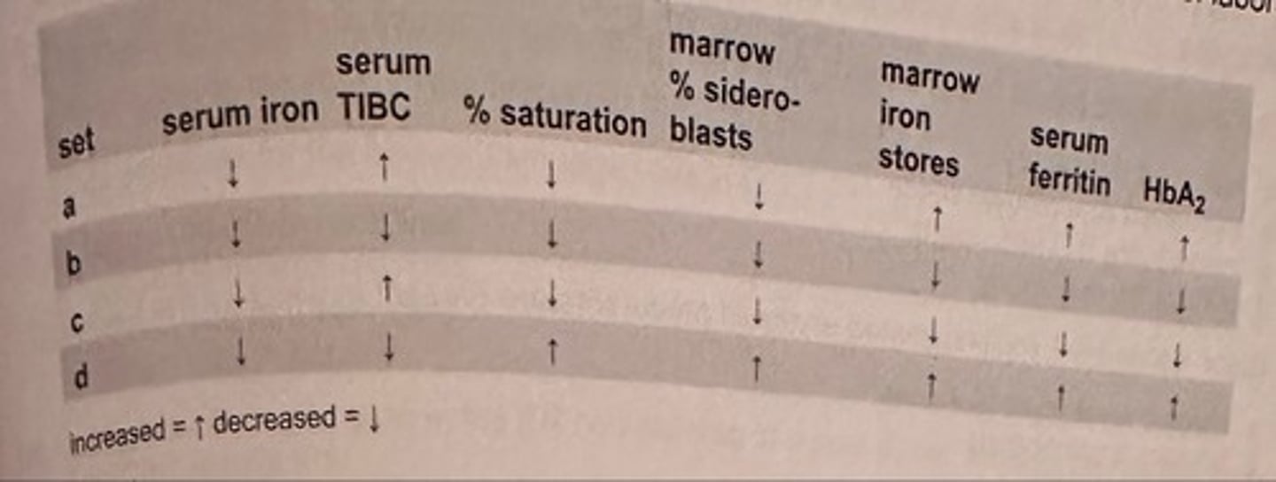 <p>c. set c</p><p>iron deficiency anemia lab features include: decreased serum iron, serum ferritin, percent saturation, bone marrow iron stores and increased TIBC</p>