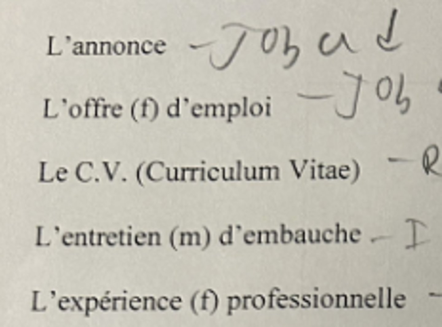 <p>Professional Experience</p>