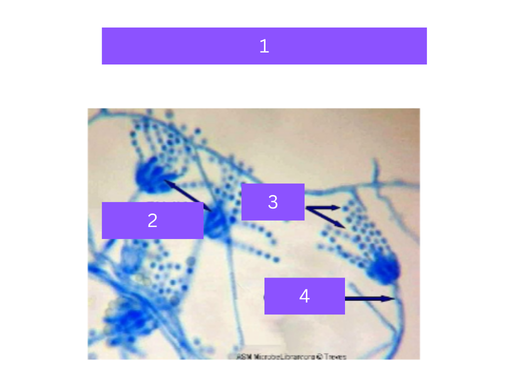 <p>what is&nbsp;2</p>