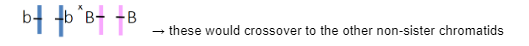 →Ab, AB, ab, aB; the linkage was broken between the two genes 
