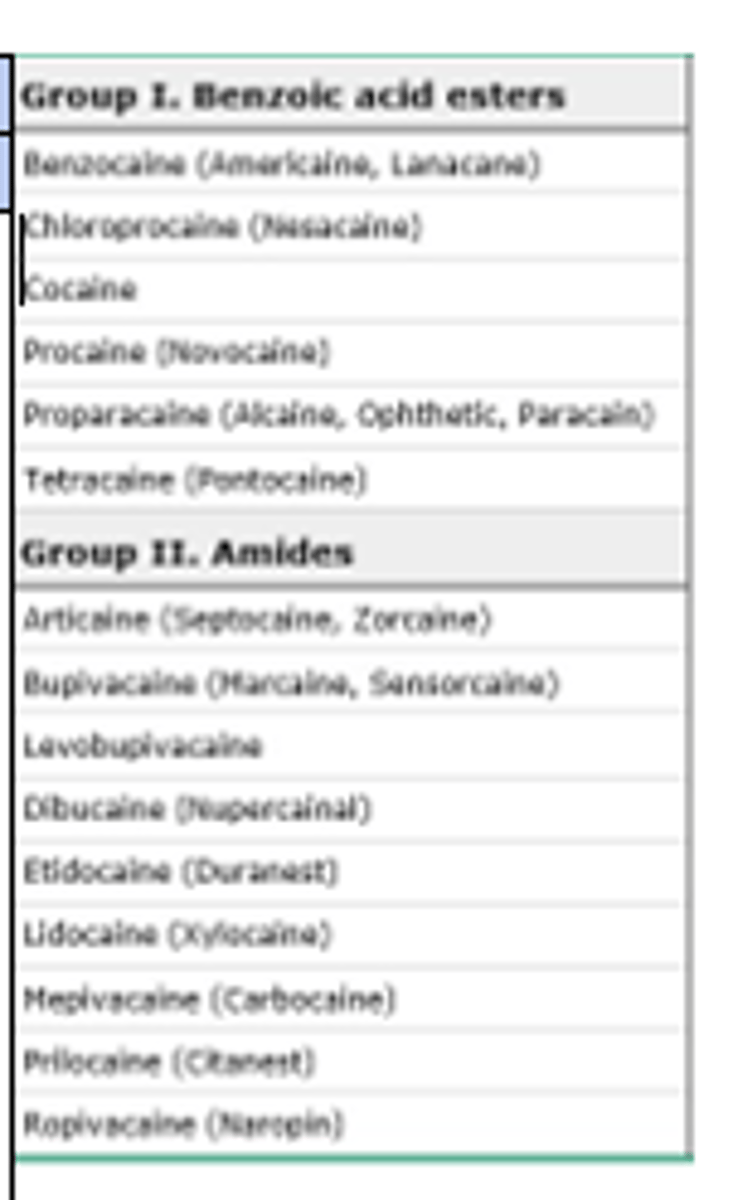<p>Amides</p><p>**extra i before -caine **</p>