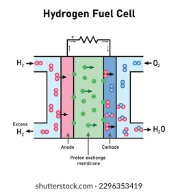 <p><span>A </span><strong><em>fuel cell</em></strong><span> uses the chemical energy of </span><strong><em>hydrogen</em></strong><span> or other fuels to cleanly and efficiently produce electricity.</span></p>