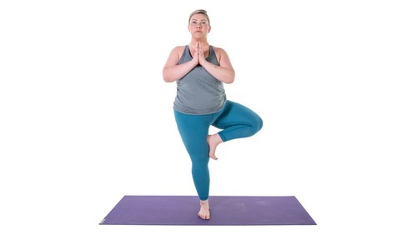 <p>Balancing Poses</p>