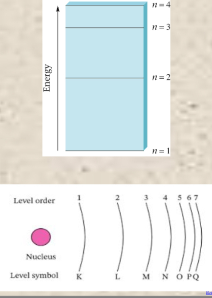 <p>Orbitals don’t have sharp boundaries and chemists arbitrarily define an orbital’s size as the sphere that contains around 90% of the total electron probability (90% of where it is possible that the electrons of an atom can be). Hydrogen has discrete energy levels (similar to the floors of a building)—these are called principle energy levels and are labeled with whole numbers. Scientists propose tat atoms can have up to SEVEN principle energy levels of electrons around the nucleus. For instance, since hydrogen has one electron, that electrons are said can be in any seven principle levels. </p>