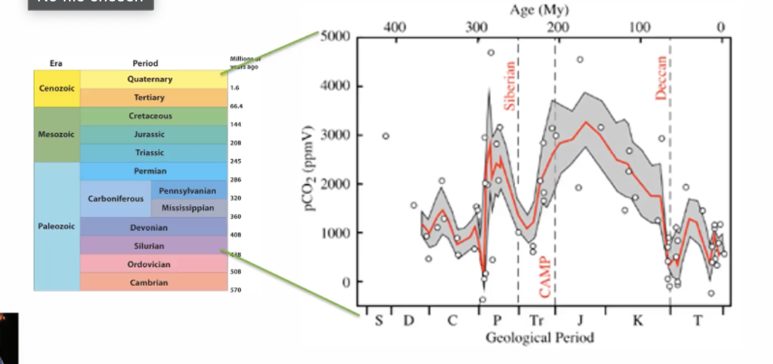 <p>-anoxic (lacking O2) and wet era</p><p>-angiosperms (flowering plants) spread</p><ul><li><p>grow rapidly, die and don’t decompose well bc too wet, buried under other soil/plants, C captured out of atmosphere in plant starts to become our fossil fuels (<strong>oil, carbon/coal, etc</strong>)</p></li></ul><p></p>