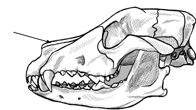 <p>what is this arrow pointing to</p>