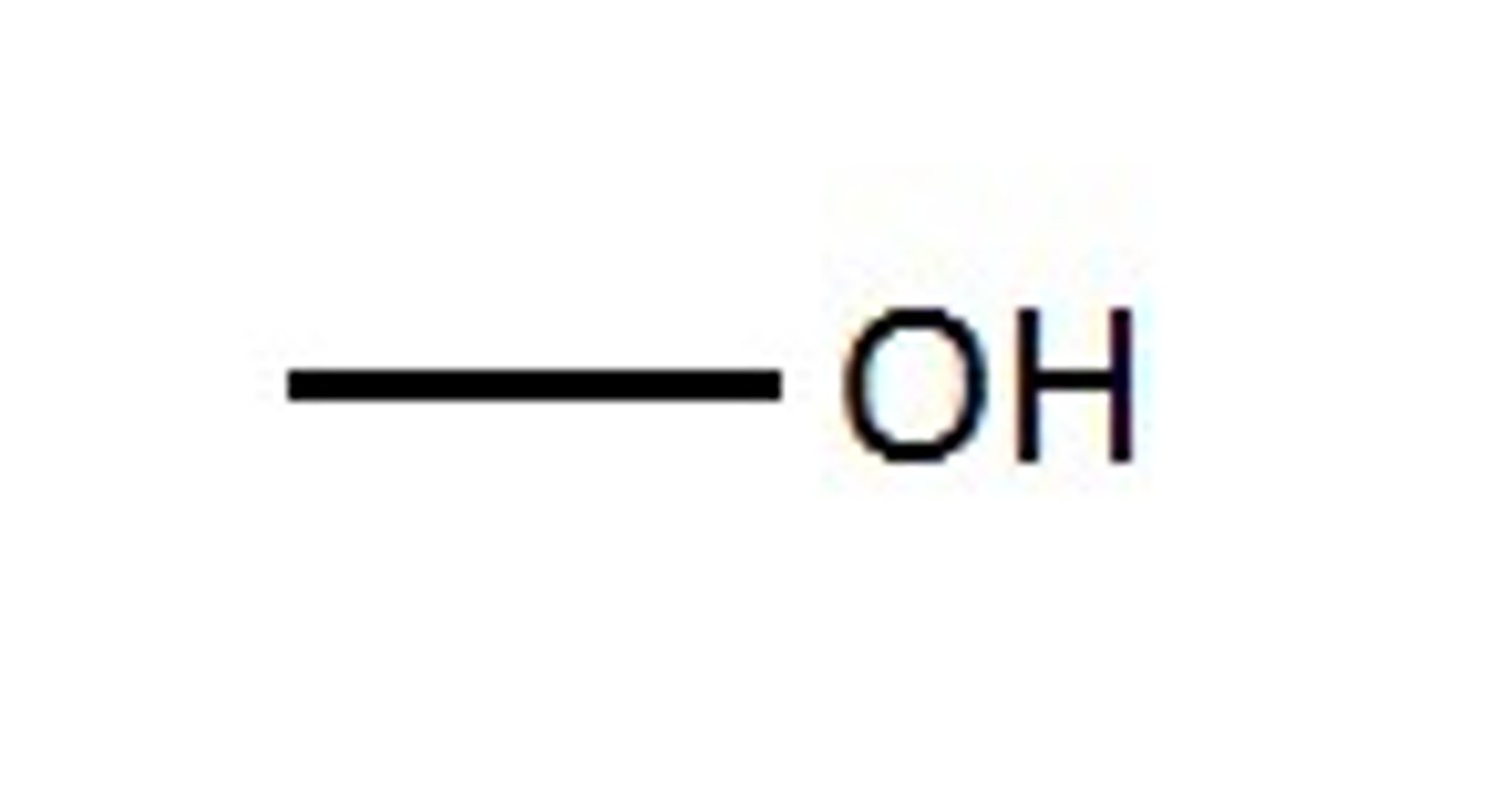 <p>hydroxyl (alcohol)</p>