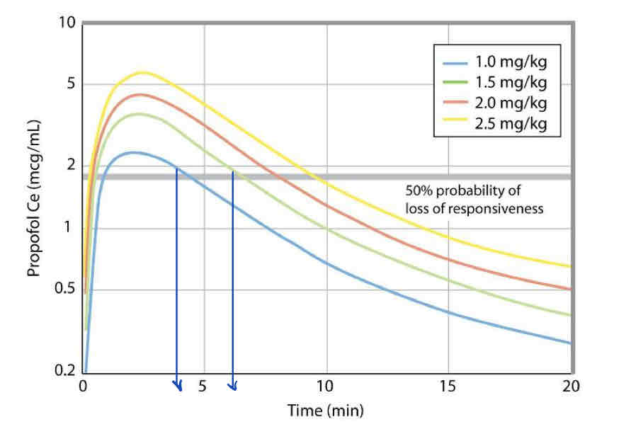 <p>What patient response occurs at the two vertical lines drawn over this graph?</p>