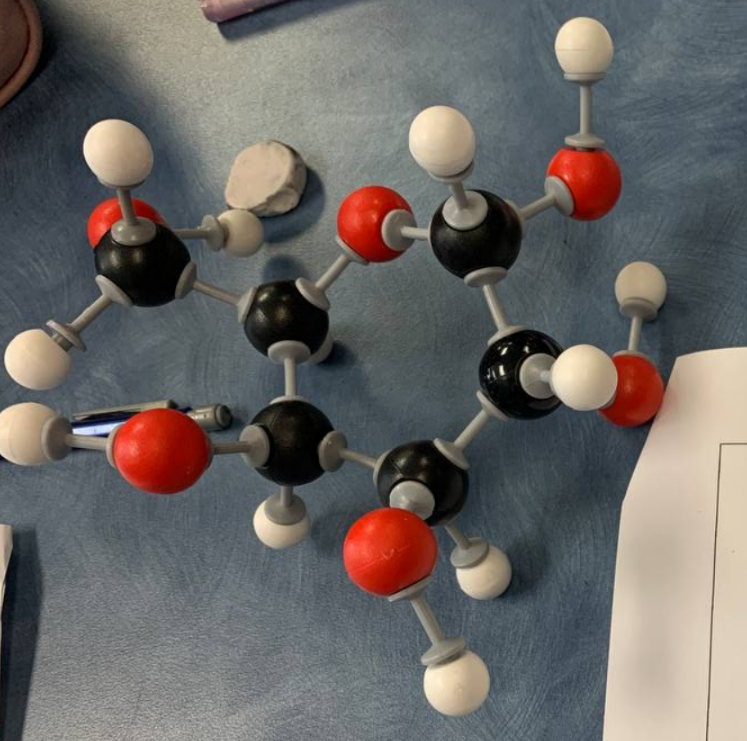 molecule kit