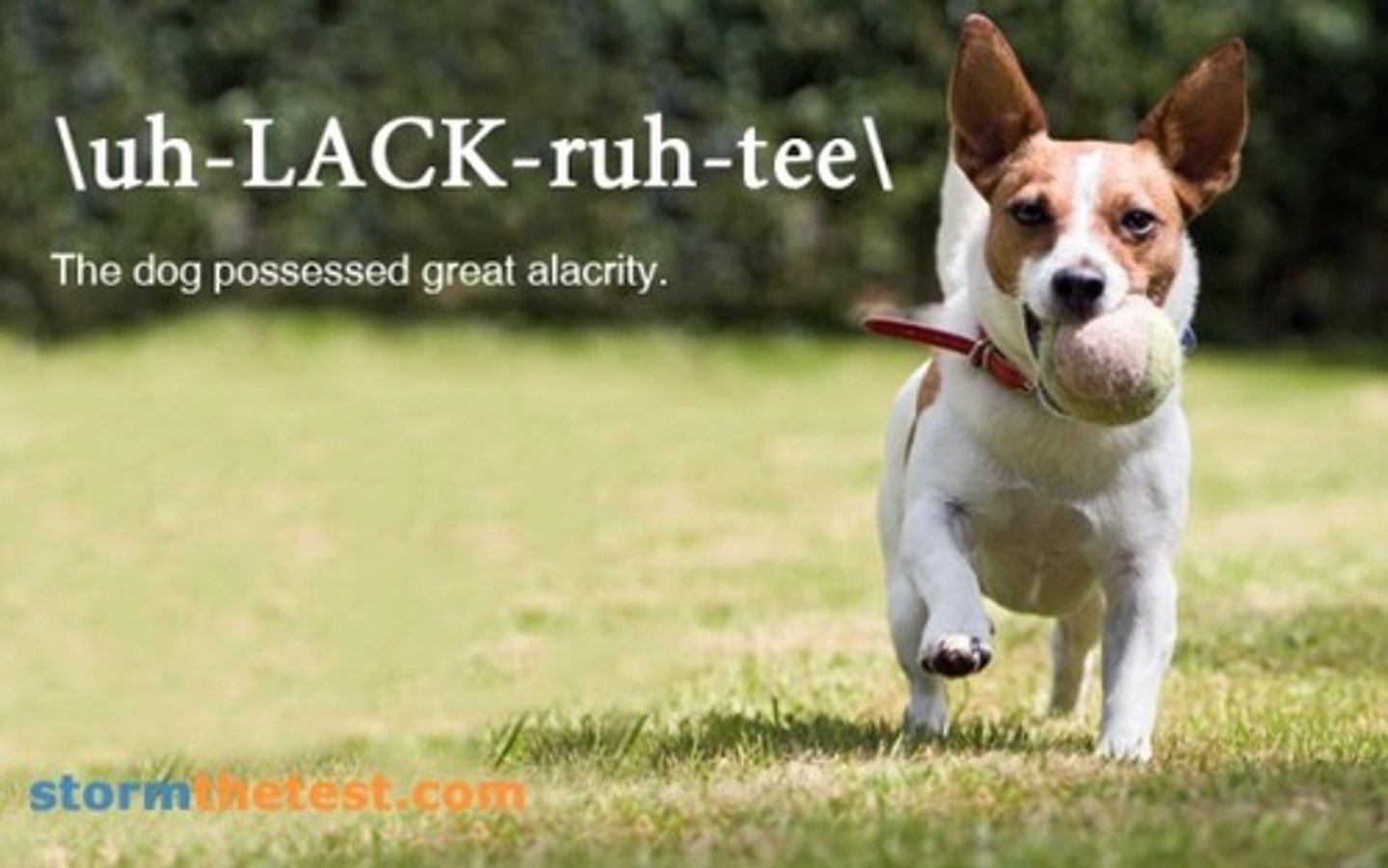 <p>Cheerful readiness or eagerness</p>