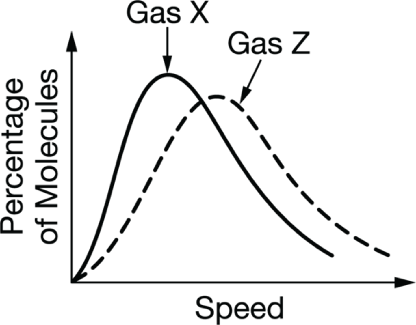 <p>Gas Z would have a smaller molar mass. This is because the two gasses are at the same temperature so their kinetic energies are the same. However the curve for gas Z shows that it has a higher average speed than the molecules in gas X. Therefore Gas Z has a smaller molar mass.</p>