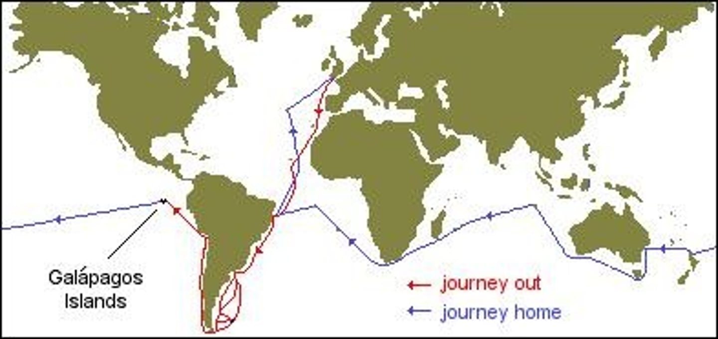 <p>Darwin observed unique species in the Galapagos Islands, which influenced his ideas on evolution and natural selection.</p>