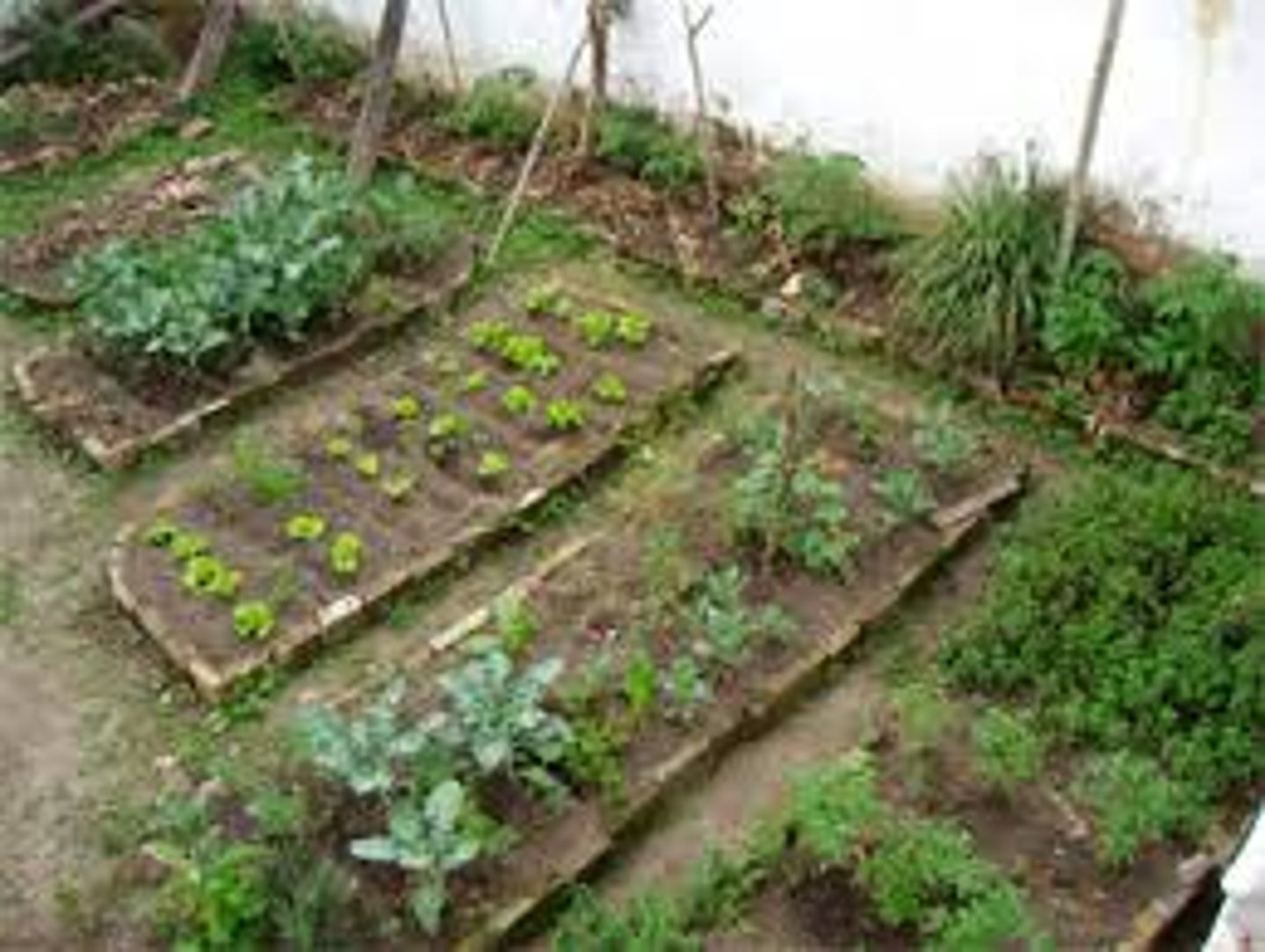 <p>Un lugar que está en la ciudad donde puedes plantar tus verduras, especias, frutas.</p>