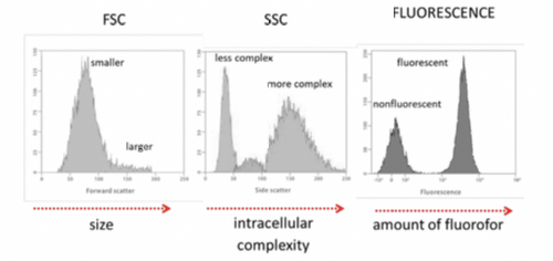 Different parameters