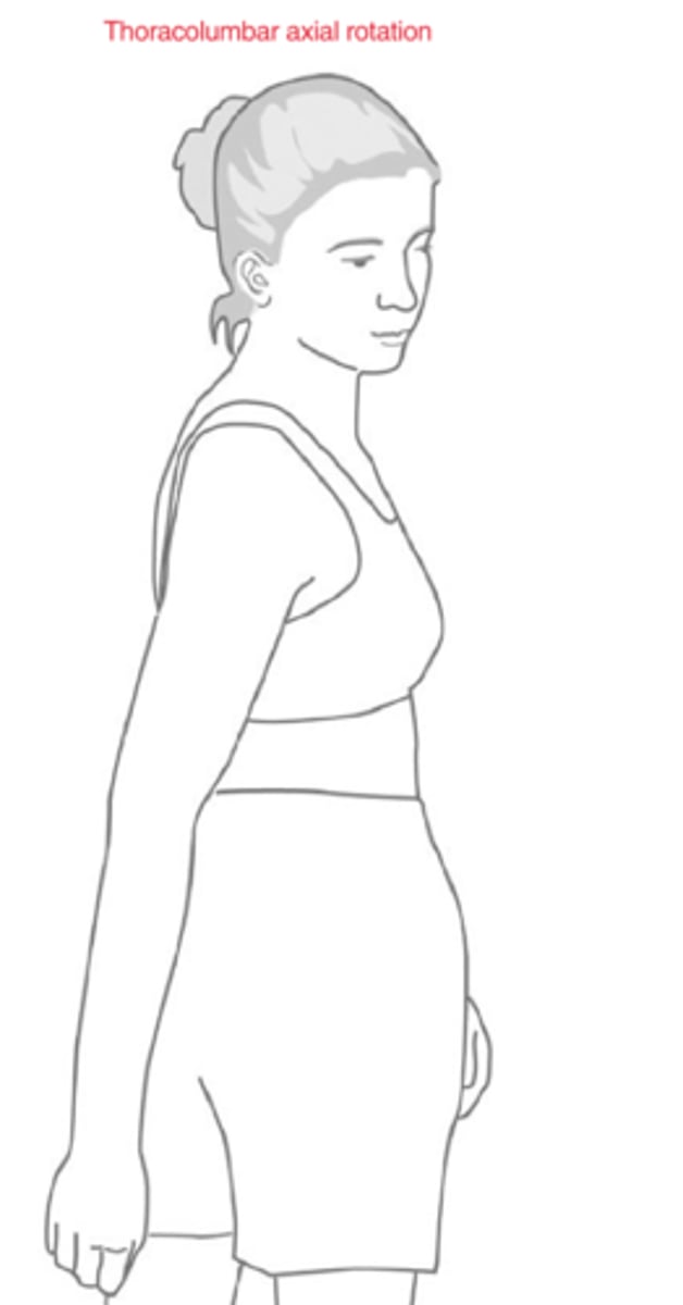 <p>Thoracic Region:</p><p>1. In thoracolumbar right axial rotation, the facets are doing what?</p><p>2. In thoracolumbar left axial rotation, the facets are doing what?</p>