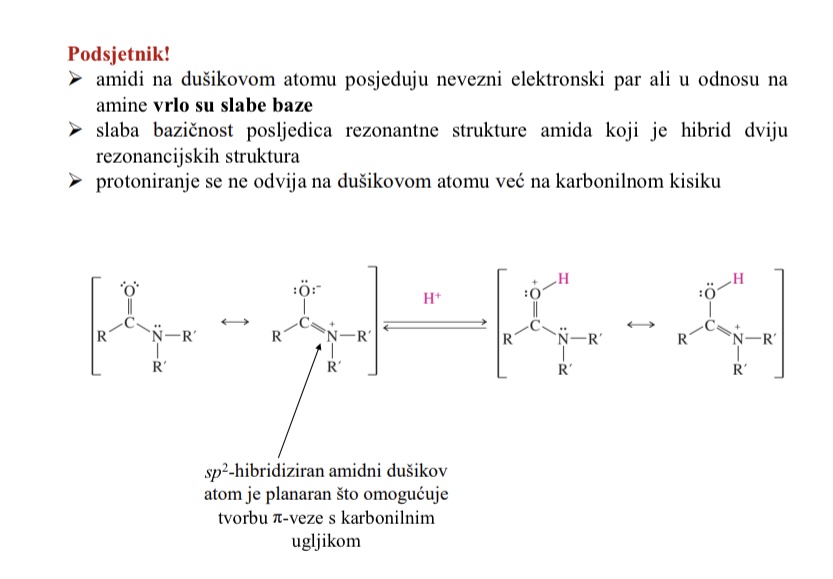 <ul><li><p>slaba bazicnost posljedica rezonantne strukture amida koji je hibrid dviju rezonancijskih struktura</p></li><li><p>Protoniranje se ne odvija na dusikovom atomu vec na karbonilnom kisiku</p></li></ul><p></p>