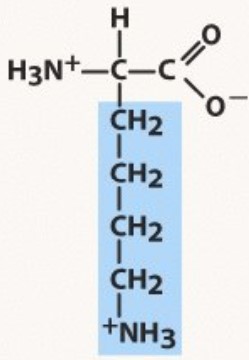 Polar positive
pKa 10.5 (HA)
-LY is a line
